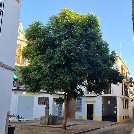 Terraza De La Axerquia Διαμέρισμα Κόρδοβα Εξωτερικό φωτογραφία