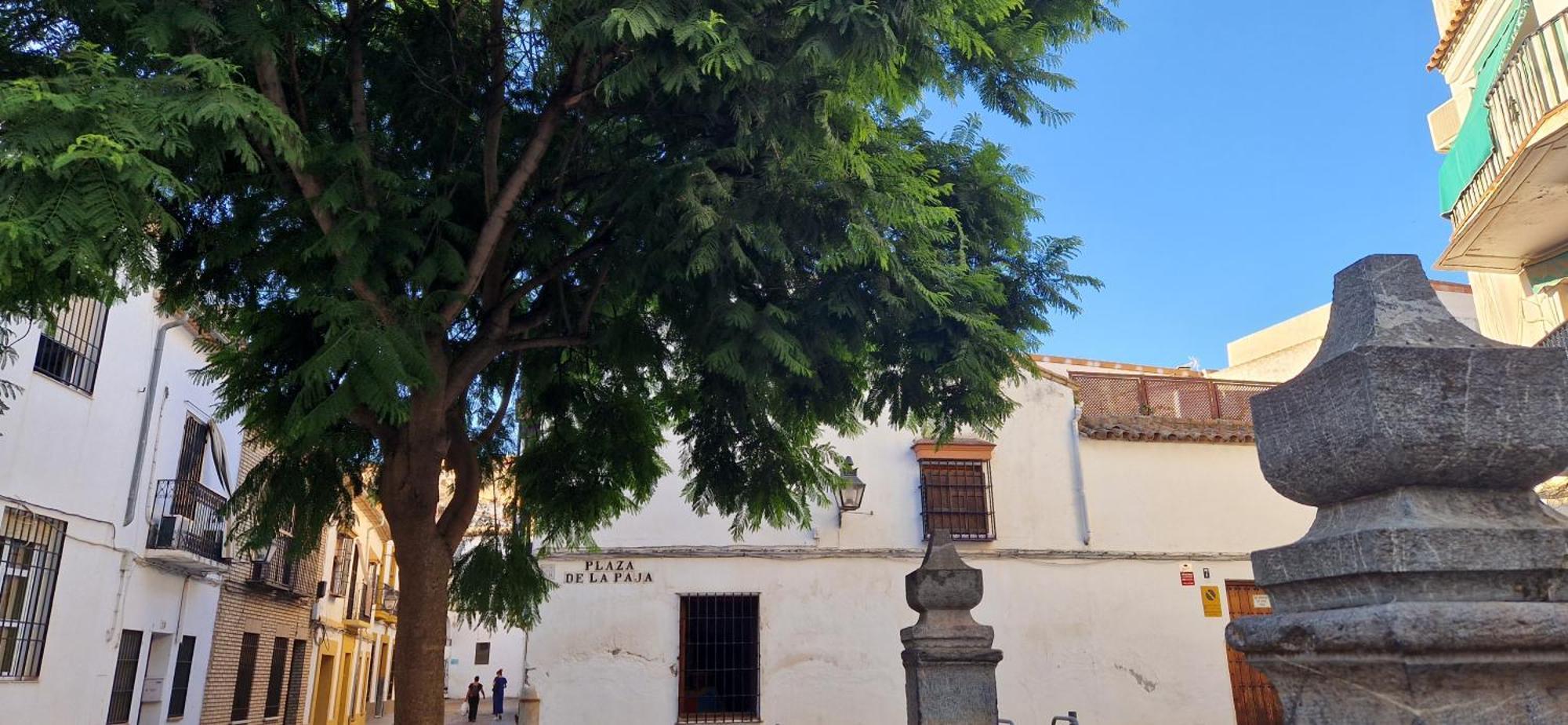 Terraza De La Axerquia Διαμέρισμα Κόρδοβα Εξωτερικό φωτογραφία