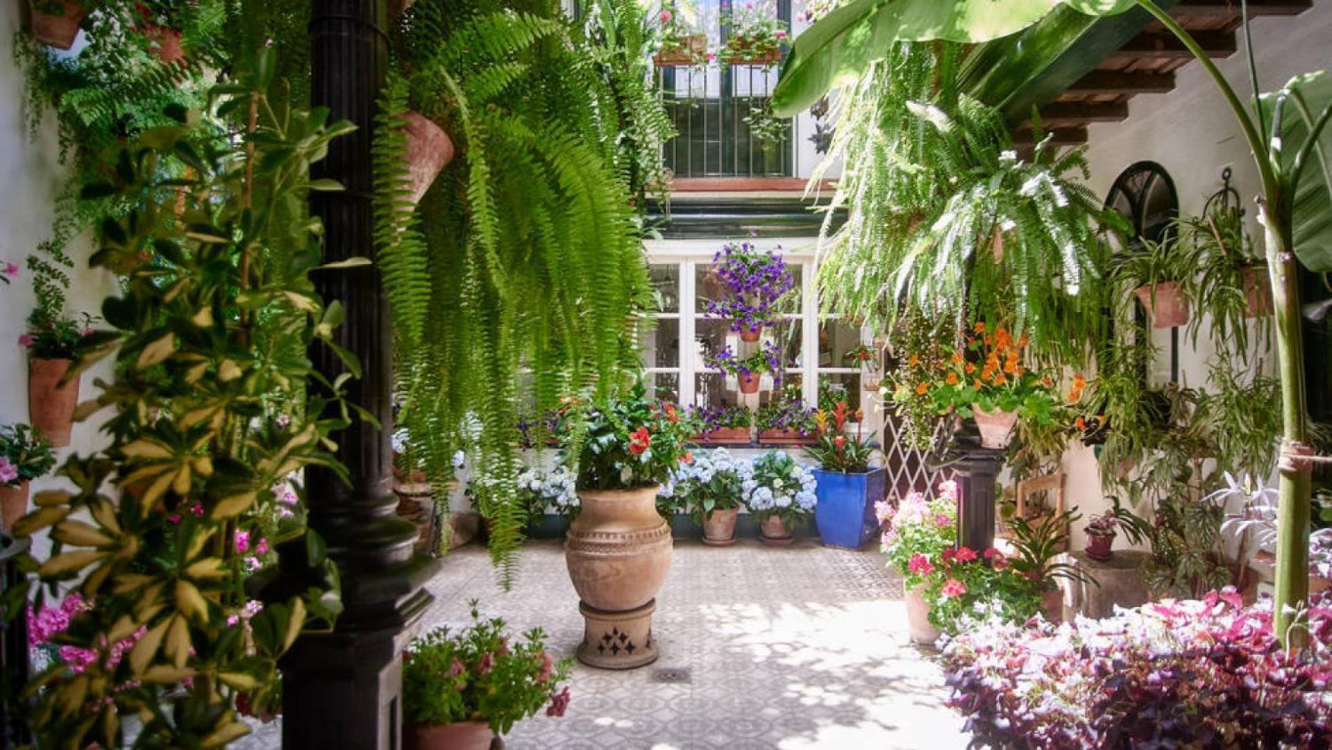 Terraza De La Axerquia Διαμέρισμα Κόρδοβα Εξωτερικό φωτογραφία
