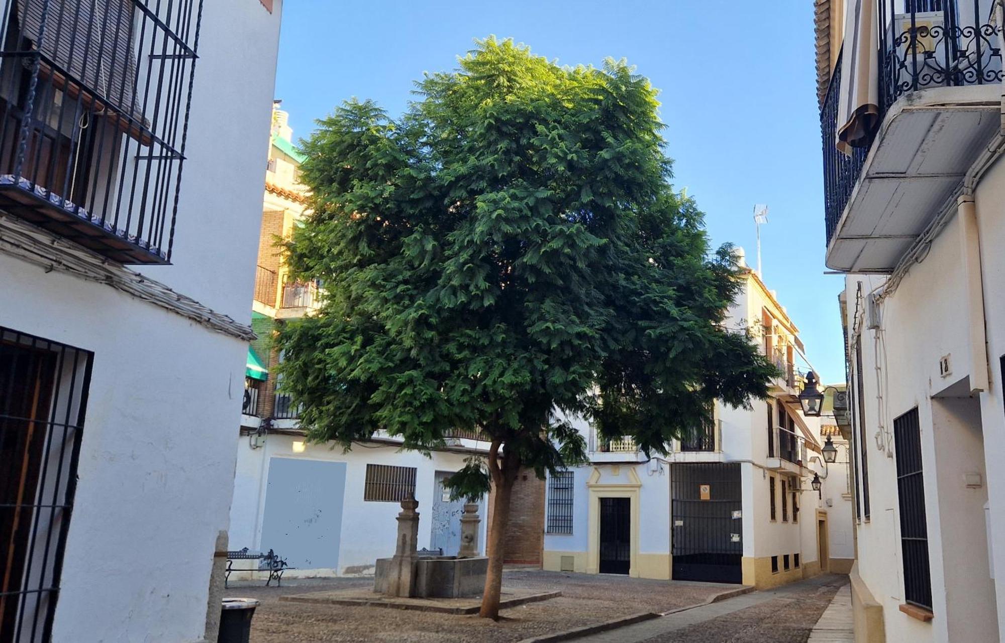 Terraza De La Axerquia Διαμέρισμα Κόρδοβα Εξωτερικό φωτογραφία